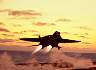 F14VF21.JPG